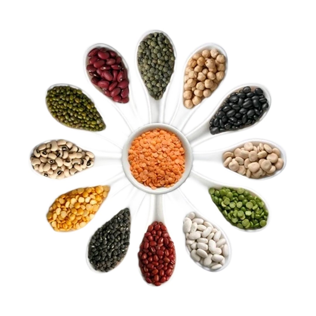 Pulses,Spices&Herbs